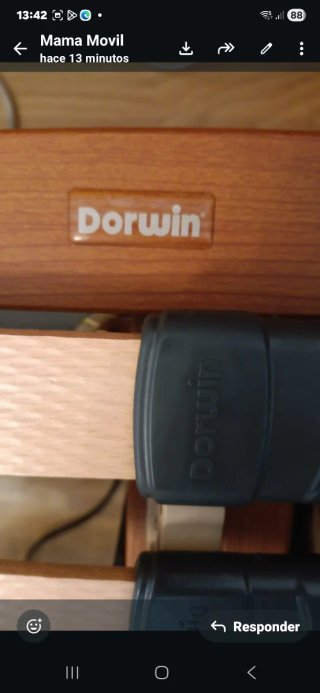 2 Camas Articuladas Dorwin