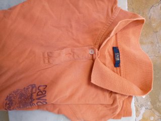 Polo Roberto Cavalli Uomo Arancione Taglia M