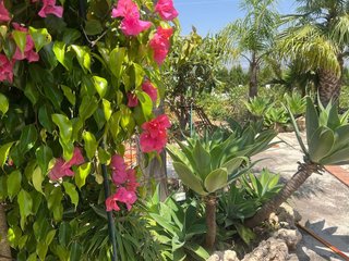 Casa pareada en alquiler en Alhaurín el Grande