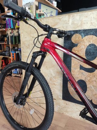 MTB Polygon Xtrada 7 Talla L