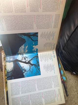 Vinilo Reader's Digest Just You, Just Me