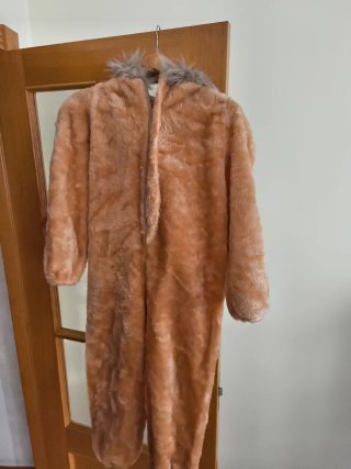 Disfraz León Niño Talla 2-3 Años