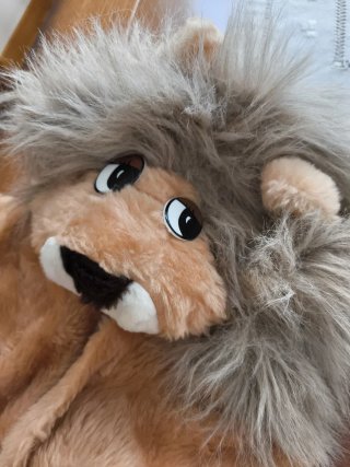 Disfraz León Niño Talla 2-3 Años