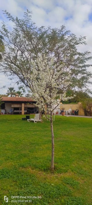 Alquiler Vacacional