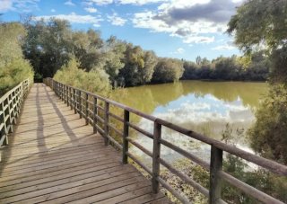 Alquiler Vacacional