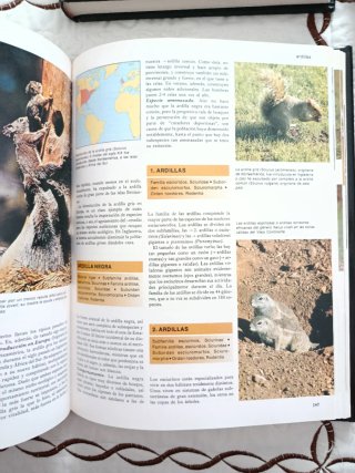 Lote 8 enciclopedias de animales en perfecto
