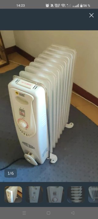 Due Radiatori Elettrici Suzumi