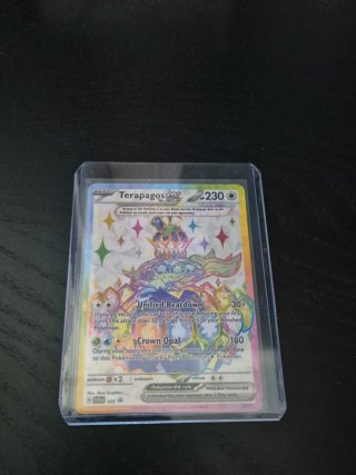 Carta Pokémon Terapagos EX SV 165