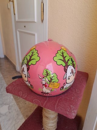 Casco Moto Infantil Rosa