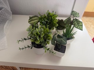 Plantas Artificiales Decorativas