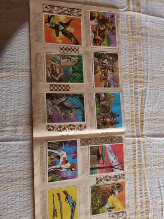 Álbum Cromhistoria Completo