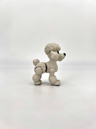 Poodle Animascota — Elegancia en versión coleccion