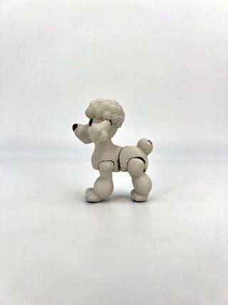 Poodle Animascota — Elegancia en versión coleccion