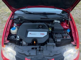 SEAT Ibiza Cupra 6l