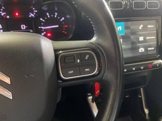 Citroen C3 Aircross PureTech 81kW (110CV) S&S C-Series