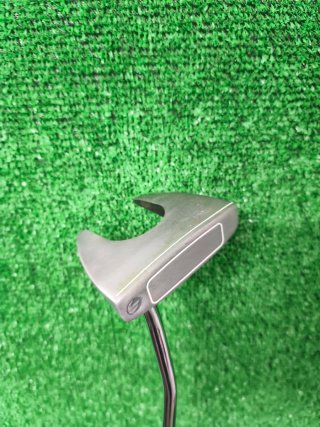 Palo de Golf Putter Inesis