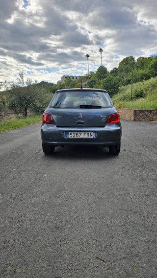 Peugeot 307 2007