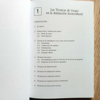 Construir la animación sociocultural