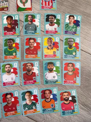 CROMOS FUTBOL MUNDIAL PANINI