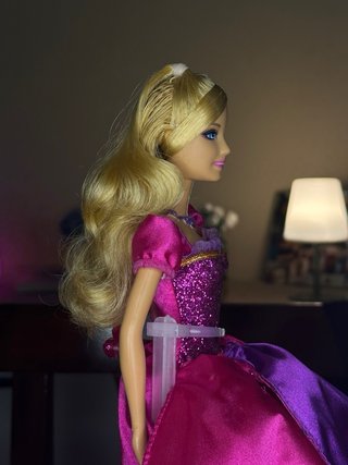 Barbie and the Diamond Castle