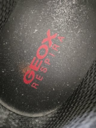 Geox U Sterrato B ABX C Zapatillas Hombre