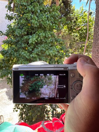 Sony NEX-5 + Objetivo 18-55mm OSS