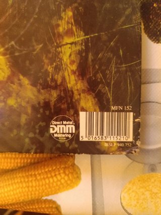 Vinilo ICON PARADISE LOST Original