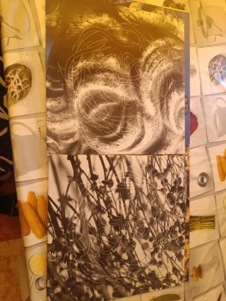 Vinilo ICON PARADISE LOST Original