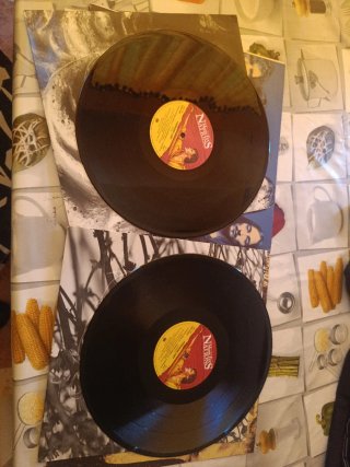Vinilo ICON PARADISE LOST Original