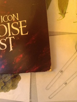 Vinilo ICON PARADISE LOST Original