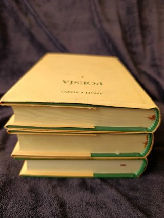 Poesía Obra completa en 3 volumenes