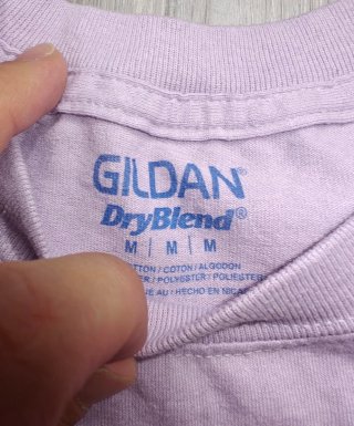 Camiseta Gildan Olympics Chadbourne 2018