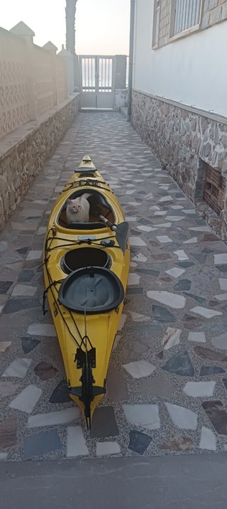 Kayak de travesía 4,60m