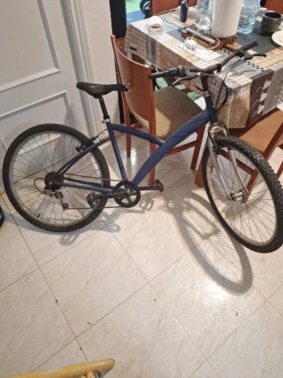 Bicicleta azul