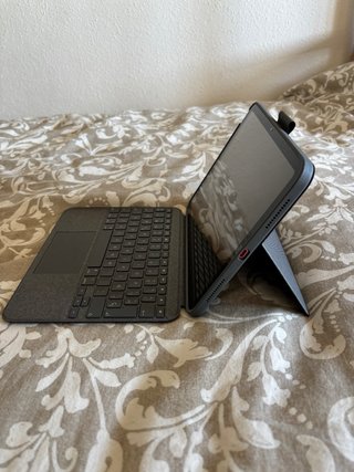 Apple iPad rosa