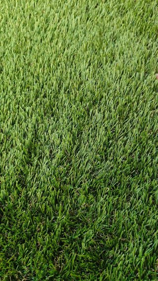 Alfombra Césped Artificial Exterior