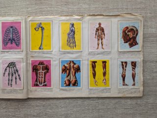 Álbum Ciencia y Arte Coleccionismo