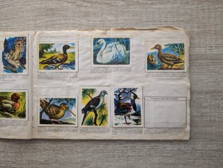 Álbum Ciencia y Arte Coleccionismo