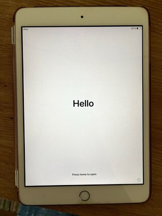iPad mini 3 64GB, bianco e grigio con custodia rosa