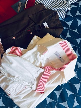 Lote Camisas Vestir Mujer Varias Marcas: Tommy, CH