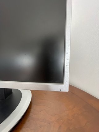 Monitor LG Flatron L194WT 19 Plata
