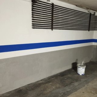Pintor Profesional