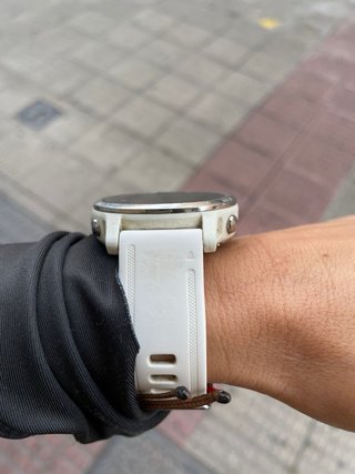 Reloj Garmin fenix 6sPlata y Blanco