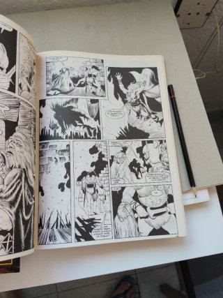 2 COMICS AL. ESPECIALES LA ESPADA SALVAJE DE CONAN