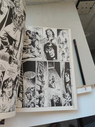 2 COMICS AL. ESPECIALES LA ESPADA SALVAJE DE CONAN