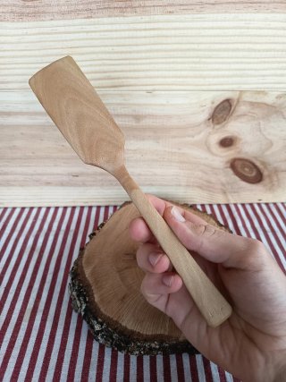 Paleta de la IRA en plátano de sombra