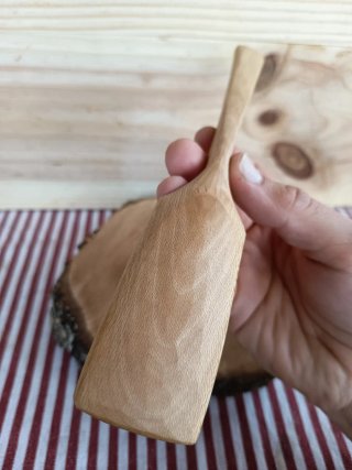 Paleta de la IRA en plátano de sombra