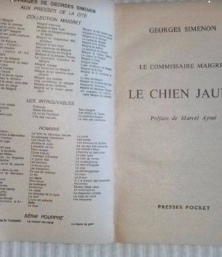 Le chien jaune