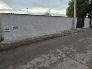 Tereno