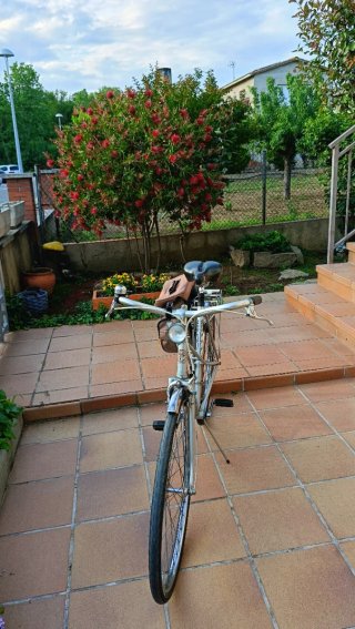 Bicicleta Vintage Empòrium Plata